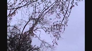MASSIVE Distance Frisbee Cliff Throw