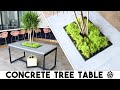 Diy concrete table with tree growing through the middle  gfrc concrete