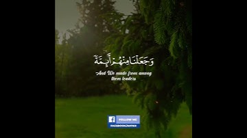 آيات من الذكر الحكيم🌼 | تلاوات عطرة ٧٦🥺✨🌹