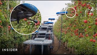 Are Fruit-Picking Drones The Future Of Harvesting? | Insider News screenshot 4