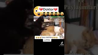 Kürtçe Komik Video.