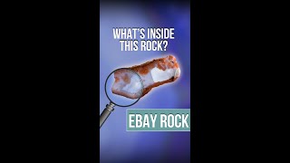 Rock Bidding War on eBay! Our $1.99 Win Revealed on the Beach | (Cutting Rocks)
