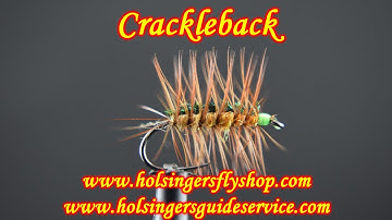 Crackleback, Holsinger