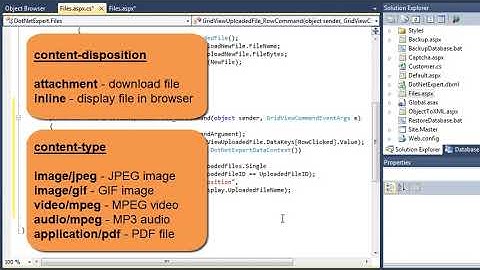 Learn ASP.NET 4.0 Expert Skills Lesson 11-2: Output a file to the user