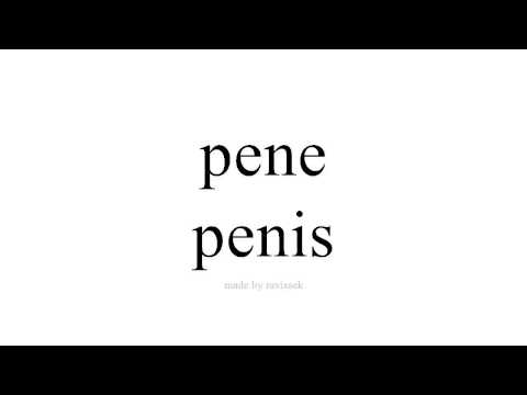 ისწავლეთ ესპანური   penis