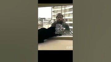 Wildly Funny Animals Compilation: Catnip Shenanigans and Hilarious Pet Reactions!