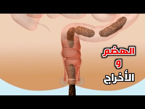 أسباب عدم خروج البراز بشكل كامل رسالة مهمة جدا من جسمك تدخل فورا واحمي القولون من شر الأمراض