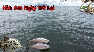 Hòn Sơn Ngày Trở Lại Câu Cá Trụ Điện Đủ Các Loại Cá