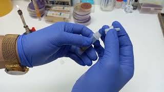 Recherche dantigéne dhelicobacter pyliri dans les selles ????  جرثومة المعدة أسباب وأعراض وعلاج