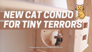 Vlog Setting Up A New Cat Condo luxypet