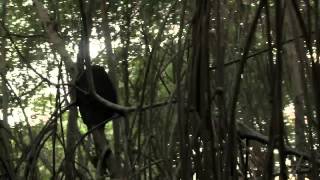 The River - ABC Network - Movie Trailer