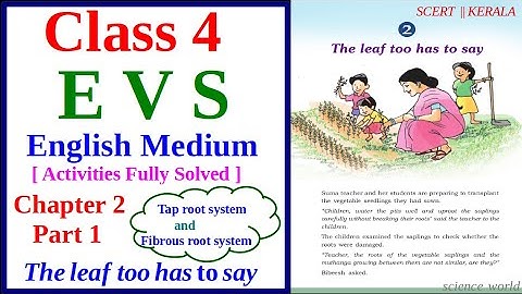 EVS Class 4 | English medium / Chapter 2 /Part 1/The Leaf too has to say/science world/scert Kerala