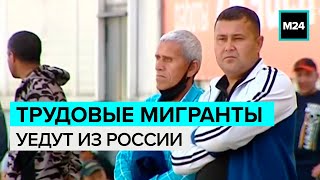 Трудовым мигрантам стало невыгодно работать в России - Москва 24