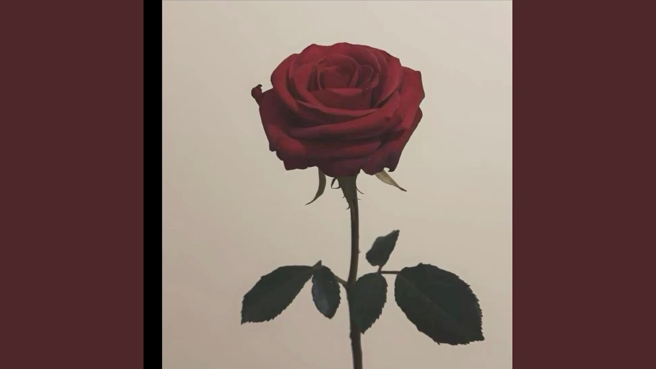 Watch Roses on YouTube Watch Roses on YouTube