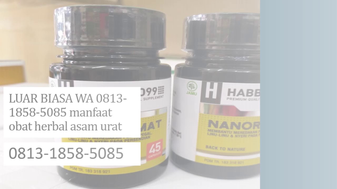 TERBUKTI WA 0813 1858 5085 obat herbal asam urat 