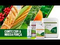 Viridian Fertilizantes - Vídeo Institucional 2020 | Cocamar