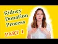 Kidney donation process  part i