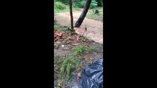 Viewer shares video of flooding in the creek in her backyard