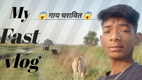 😱 गाय चरावित 😱 | gay chravit | my fast vlog | Niraj official | माई फर्स्ट ब्लॉग!