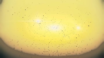 (AE) Testing new plugin - Plexus