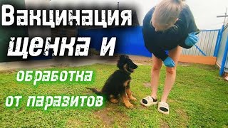 видео: картинка: