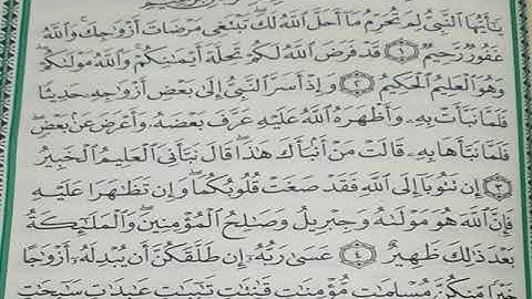 سورة التحريم مكررة 3 مرات المنشاوي رحمه الله