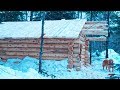How to Build an Off Grid Log Cabin | Purlins and Roof| Lake Trout Stew | Cast Iron Cooking