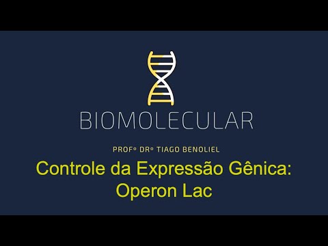 Vídeo: O que constitui o operon lac?