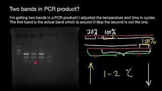 How to get rid of unspecific bands in Gel Electrophoresis