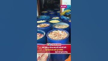 PHÁT HIỆN 4,9 TẤN DA HEO BỐC MÙI HÔI THỐI TẠI CƠ SỞ SẢN XUẤT LẠP XƯỞNG