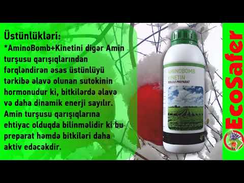 Video: Taxta Pergolalar (93 şəkil): Bitkilərə Dırmaşmaq üçün ölçüləri Olan Rəsmlərə Görə öz əllərimizlə Addım -addım Ağacdan Hazırlayırıq. Bağ Tağları Və Digər Modellər