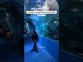 India S Largest Under Water Fish Tunnel Expo In Mumbai India Underwater Aquarium Mumbai