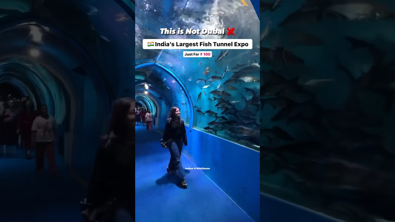 India’s largest under water fish tunnel expo in Mumbai  
