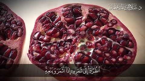 إِنَّ اللَّهَ فَالِقُ الْحَبِّ وَالنَّوَىٰ ۖ | سورة الأنعام  | آية 95