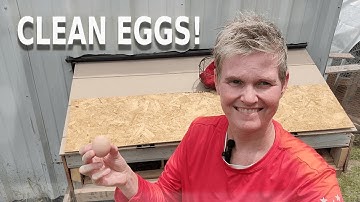 DIY Rollout Nesting Box To Keep Your Eggs Safe and Clean!