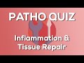 Inflammation  tissue repair nursing  introduction to pathophysiology