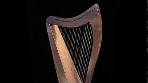 FH26 in walnut, built by Dusty Strings