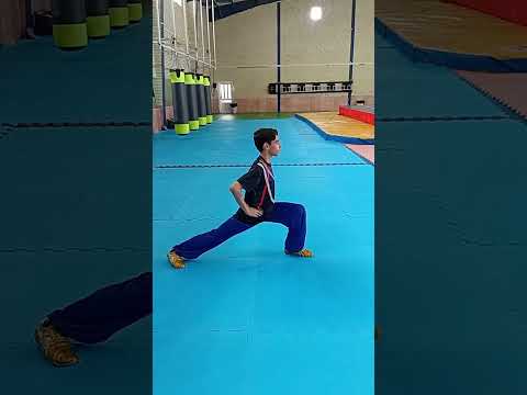 آموزش ووشو تالو استقرار های ترکیبی