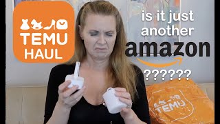 TEMU HAUL! Better Than Amazon? | skip2mylou