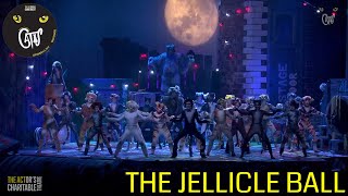 The ACT presents 'Song of the Jellicles and the Jellicle Ball' from Cats the Musical