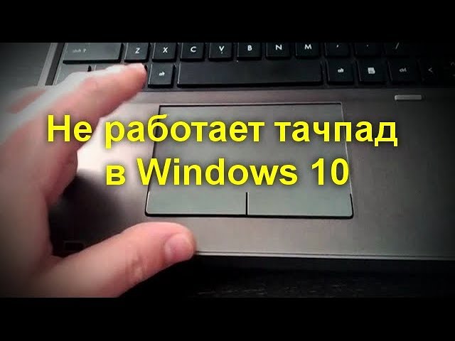 【PC】 Не работает тачпад на ноутбуке — что делать? ✔️ luchistii-sudak.ru