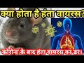 कोरोना के बाद हंता वायरस का डर।क्या होता है हंता वायरस? Golden message