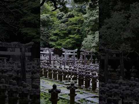 東光寺 / Tokoji Temple ⛩️ Yamaguchi.Japan