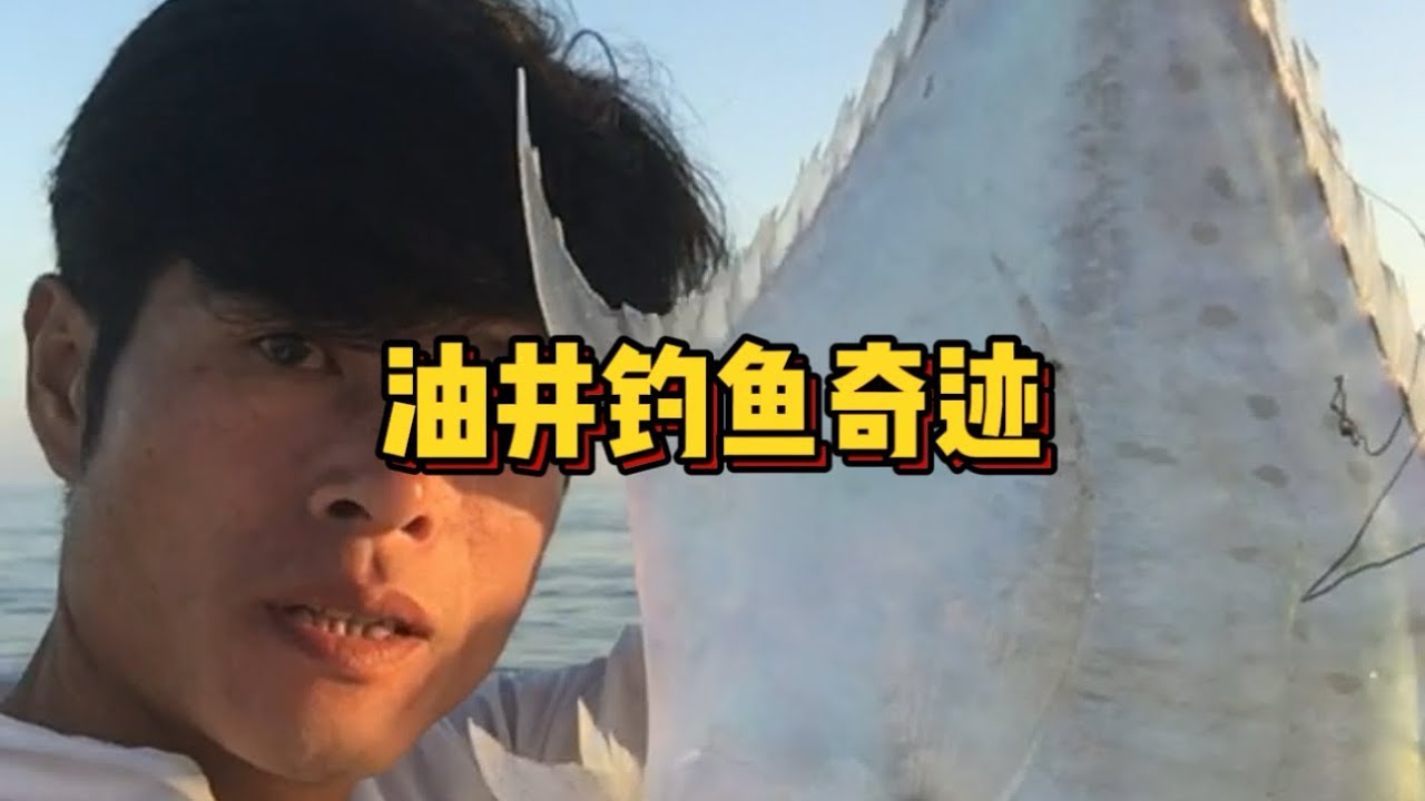 油井旁的意外收获:‘白须公’和‘火点’的惊喜 - YouTube