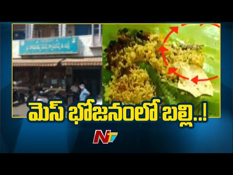 Lizard in Lunch in Vijayawada Governor Peta Ramaiah's Mess..! | Ntv