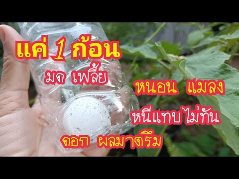 แค่-1-ก้อนอยู่หมัด-ง่ายสุดวิธี