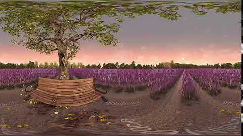 360° Virtual Reality Lavender [360° 3D Rendering UE4]