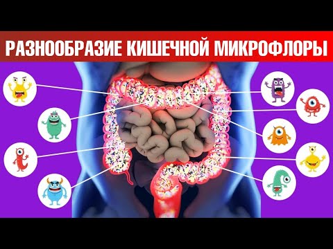 Как улучшить здоровье? Микрофлора кишечника – самое главное 🙌