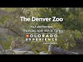 Colorado Experience: The Denver Zoo