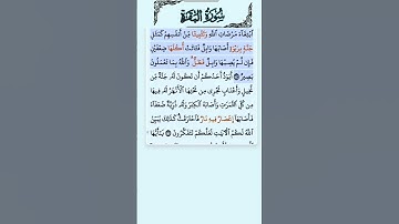 سورة البقرة الاية 265 فارس عباد قرآن 134